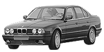 BMW E34 U1095 Fault Code